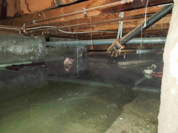 Best Flooded house restoration  in Island Park, NY