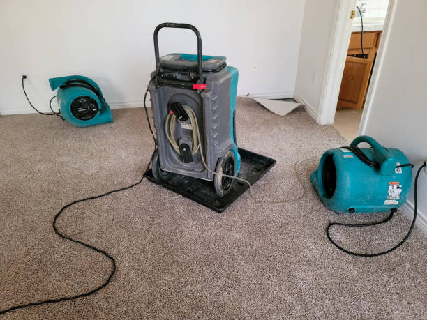 Best Residential water damage restoration  in Island Park, NY