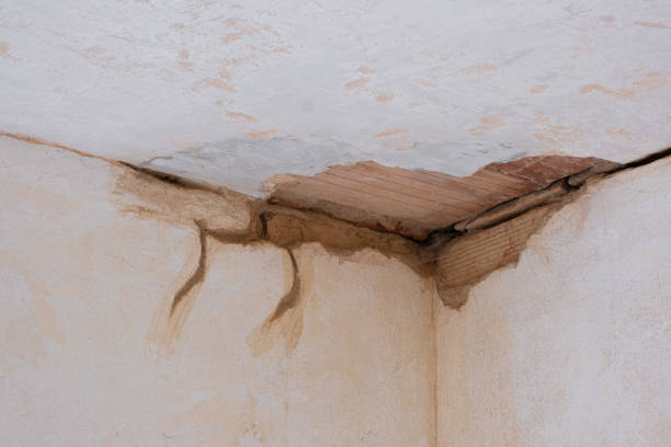 Best Sewage cleanup and water damage restoration  in Island Park, NY