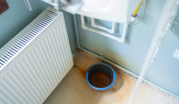 Best Professional water damage repair  in Island Park, NY