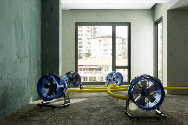 Best Local water damage restoration  in Island Park, NY